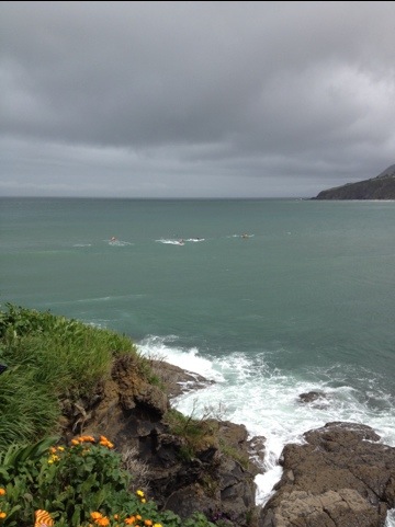 20120422-012422 AM.jpg