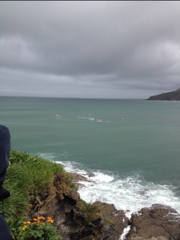 20120422-012449 AM.jpg