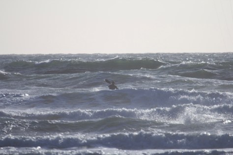 20120515-094718 PM.jpg